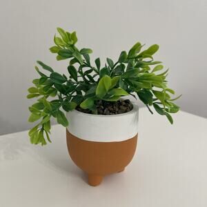 Mini Artificial Faux Boxwood Plant in Two-Tone Footed Ceramic Pot
